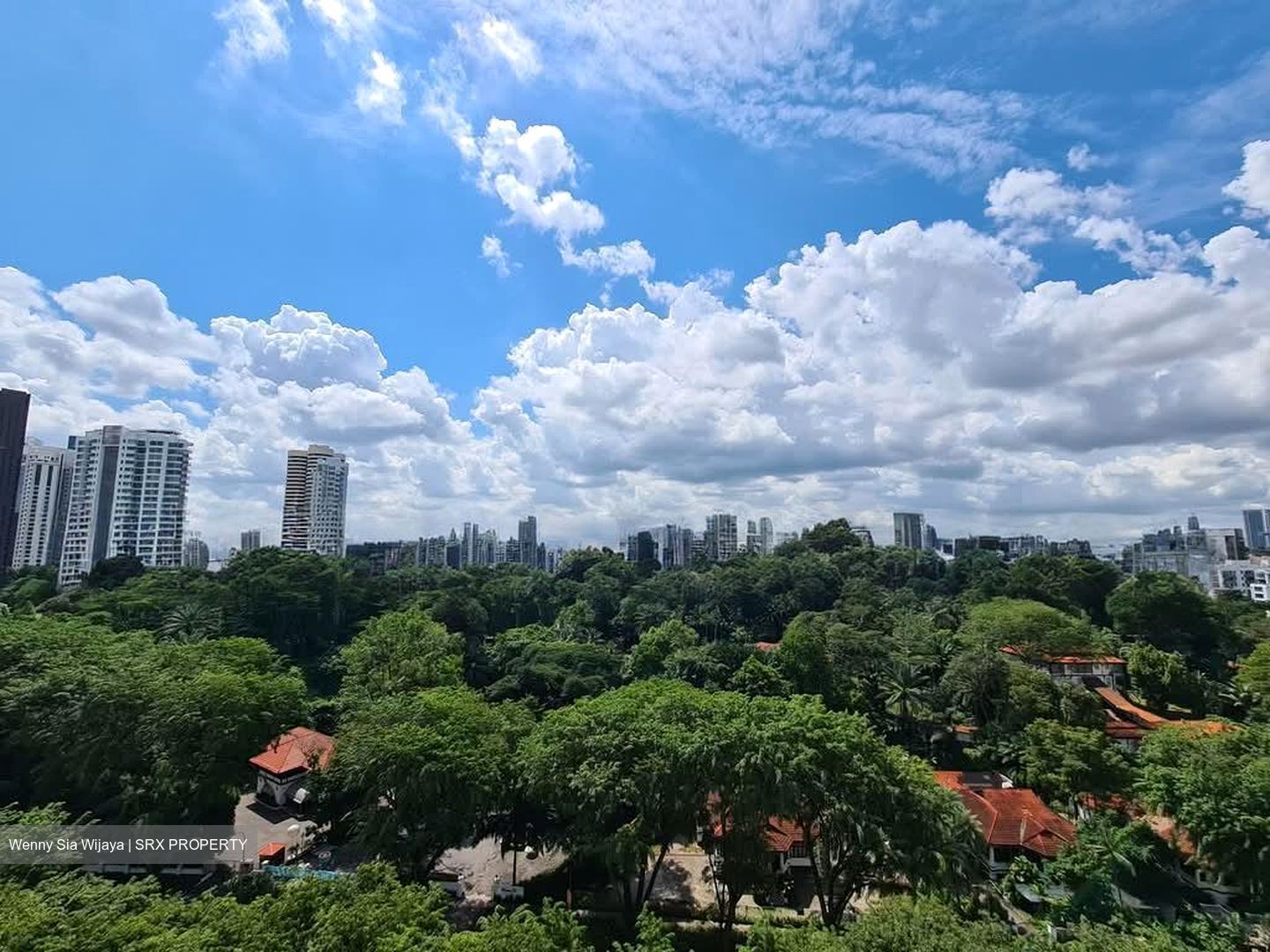 The Scotts Tower (D9), Condominium #571686741